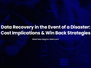 Data Recovery in the Event of a Disaster: Cost Implications & Win Back Strategies